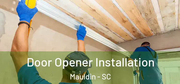 Door Opener Installation Mauldin - SC