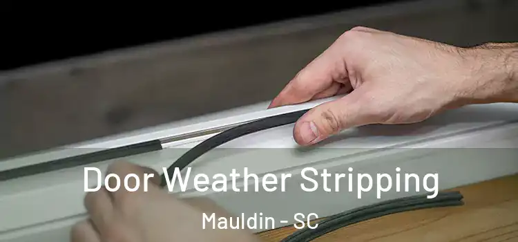 Door Weather Stripping Mauldin - SC