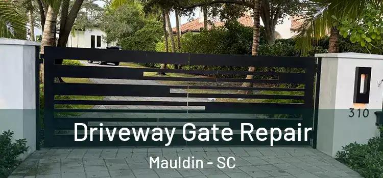 Driveway Gate Repair Mauldin - SC