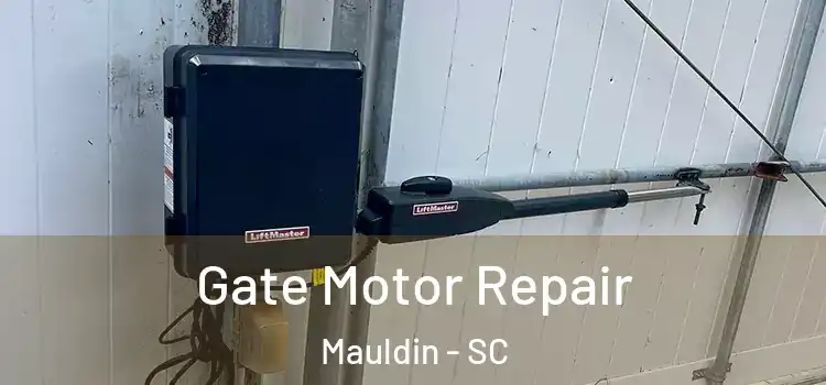 Gate Motor Repair Mauldin - SC