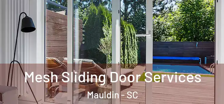 Mesh Sliding Door Services Mauldin - SC