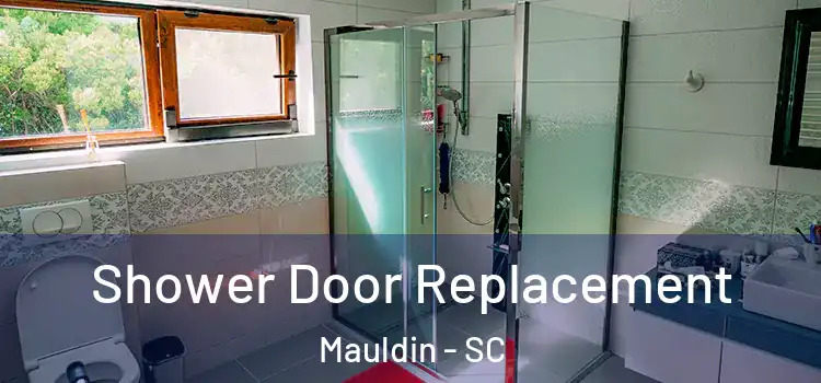 Shower Door Replacement Mauldin - SC