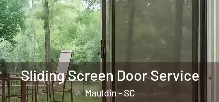 Sliding Screen Door Service Mauldin - SC